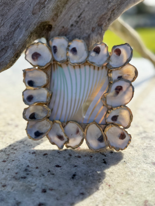Oyster Shell Square Picture Frame  by Allyson Gray Edwards