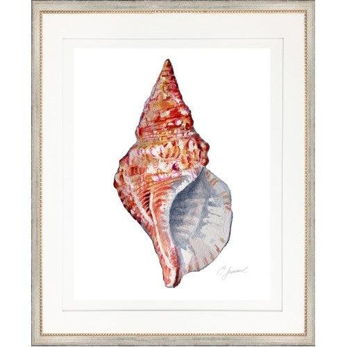 Shell Giclée Print by Charles Leonard