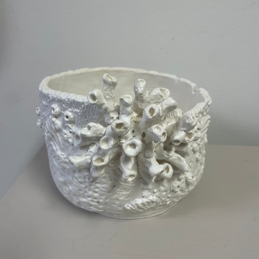 Ceramic Coral Planter by Gail Williams