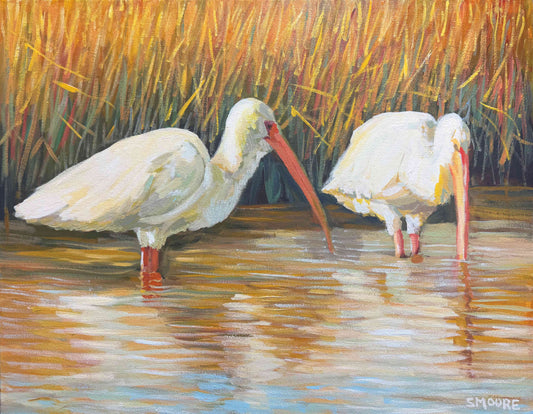 “Two Ibis” by Stephen Moore