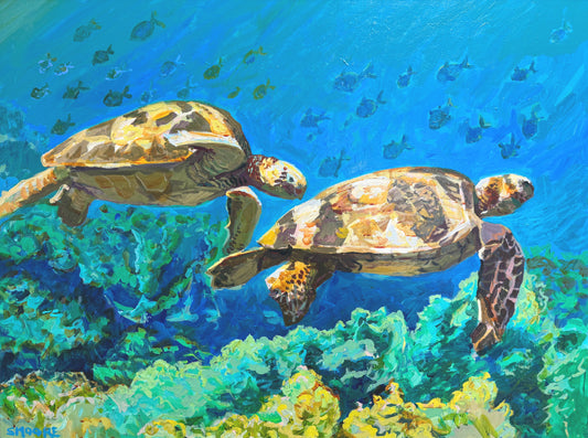 TURTLE SPACE by Stephen Moore