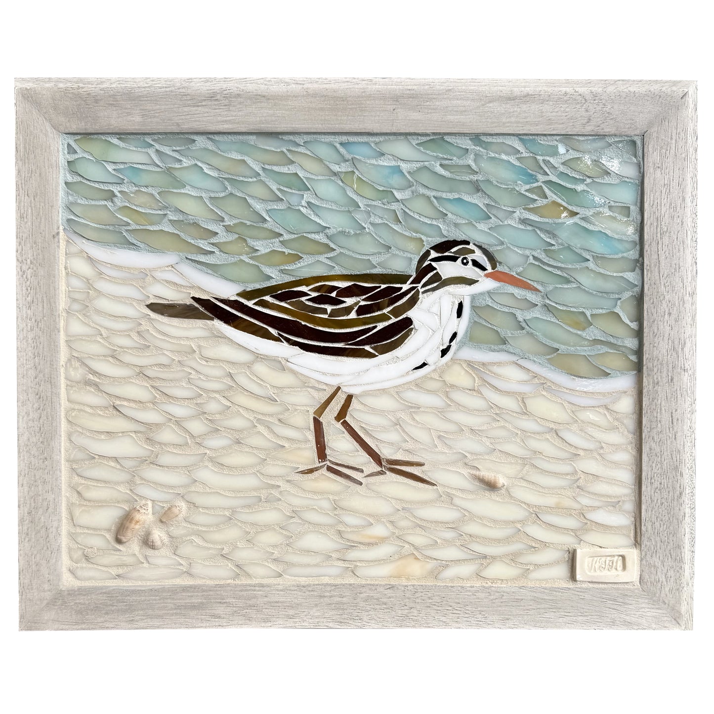 SHOREBIRD 8.0 by Kelsie Hornby