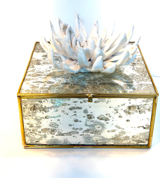 Mirrored Box with Ceramic Dalia by Gail Williams