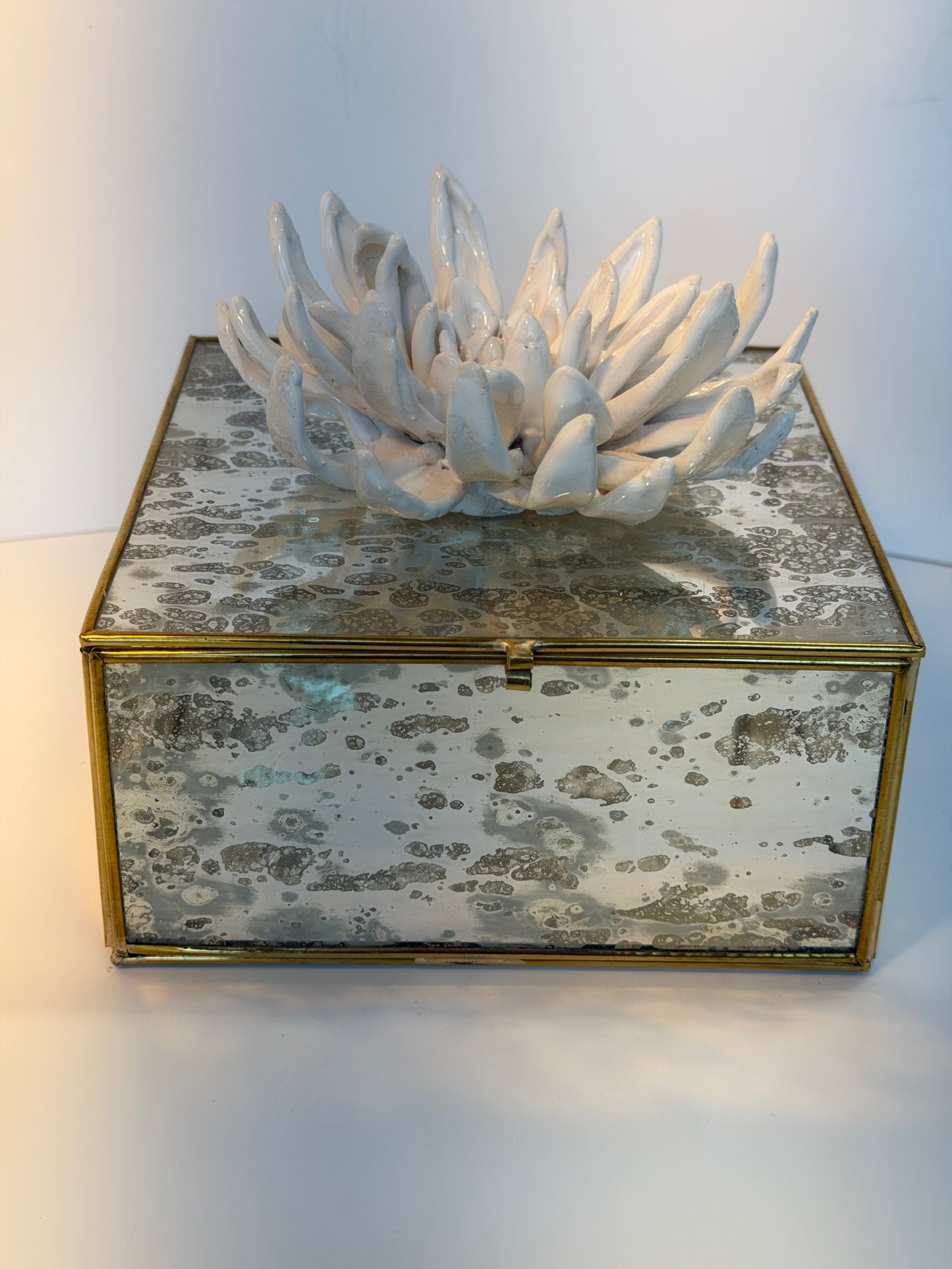 Mirrored Box with Ceramic Dalia by Gail Williams