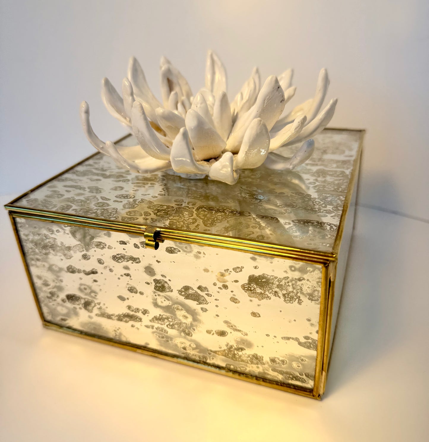 Mirrored Box with Ceramic Dalia by Gail Williams