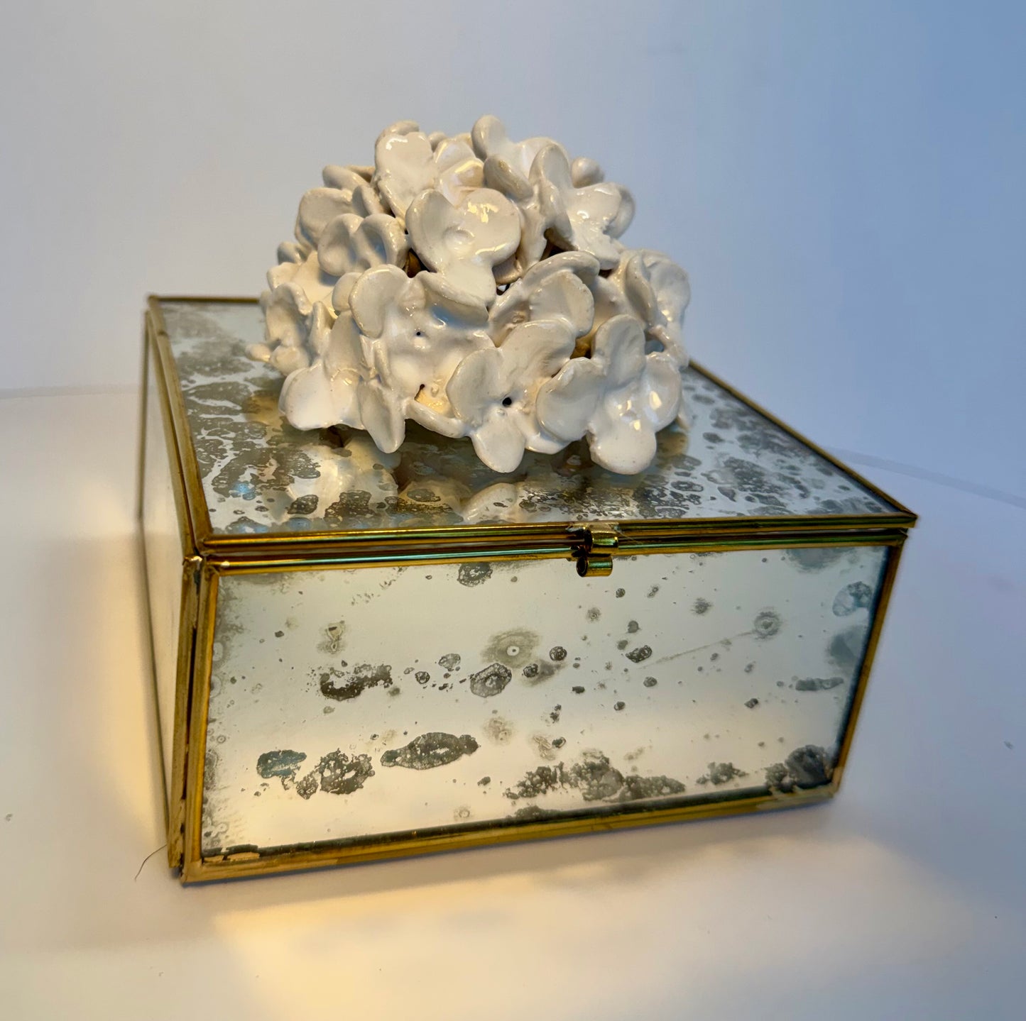 Mirrored Box with sculpted Hydrangea by Gail Williams