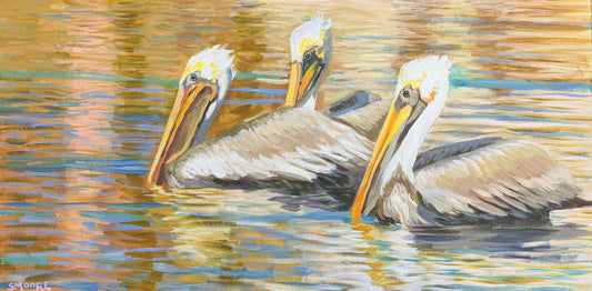 PELICAN CONSPIRACY by Stephen Moore