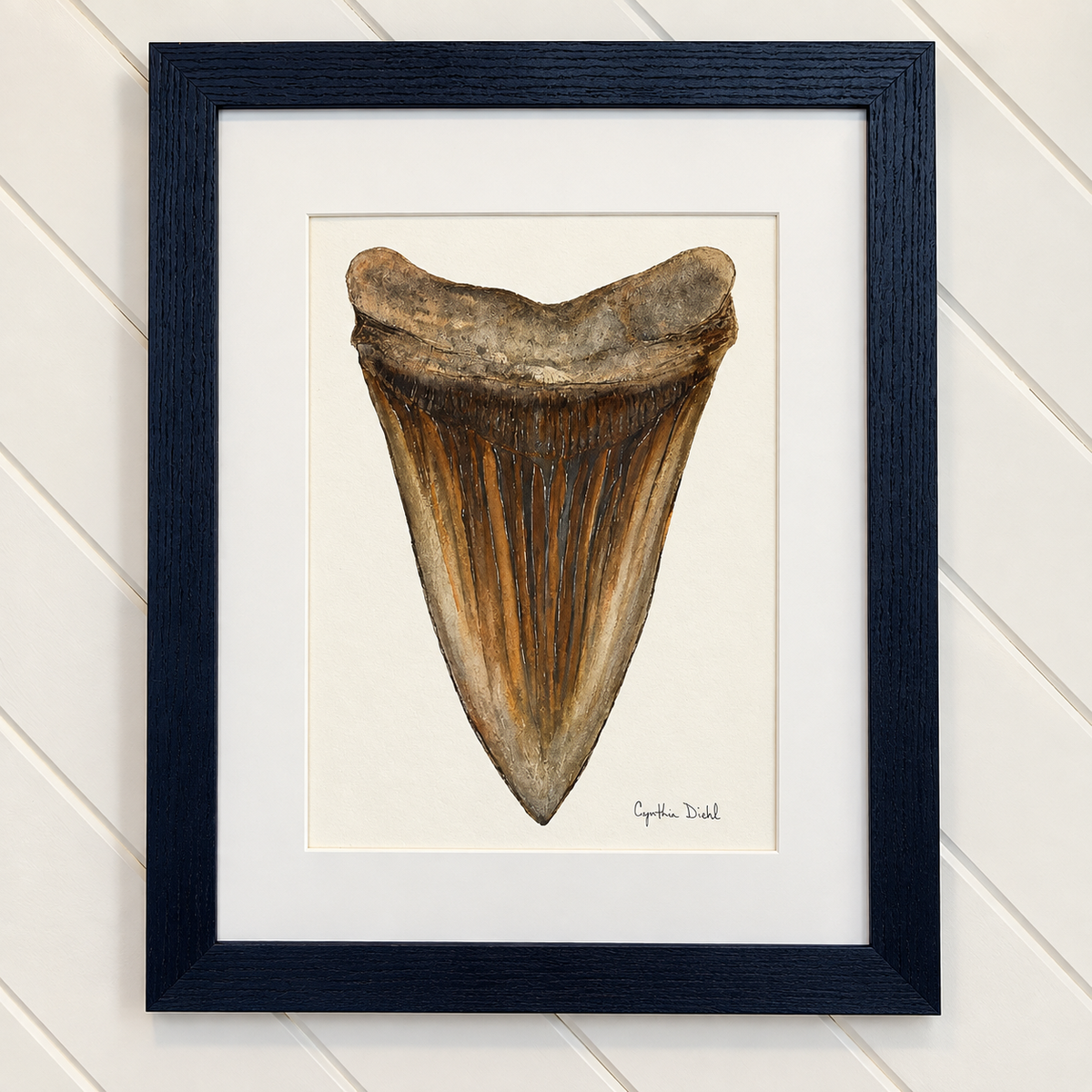 “Shark Tooth Original” by Cynthia Diehl