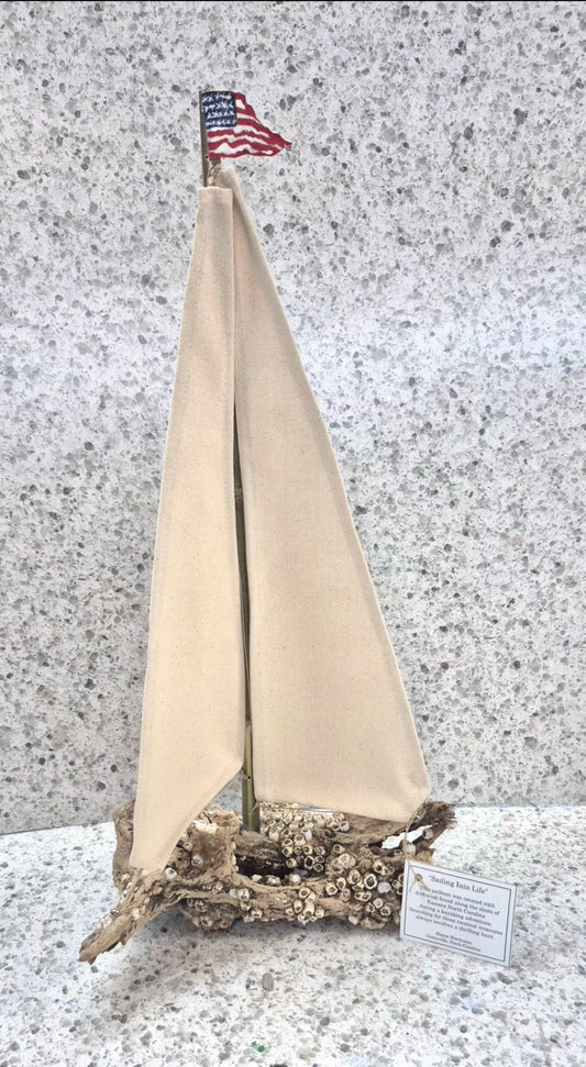 SAILING INTO LIFE by Elaine Hinchman