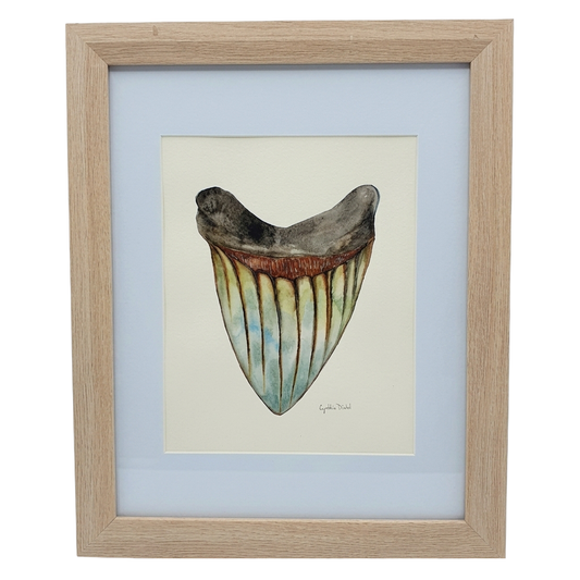FRAMED SHARK TOOTH ORIGINAL I by Cynthia Diehl