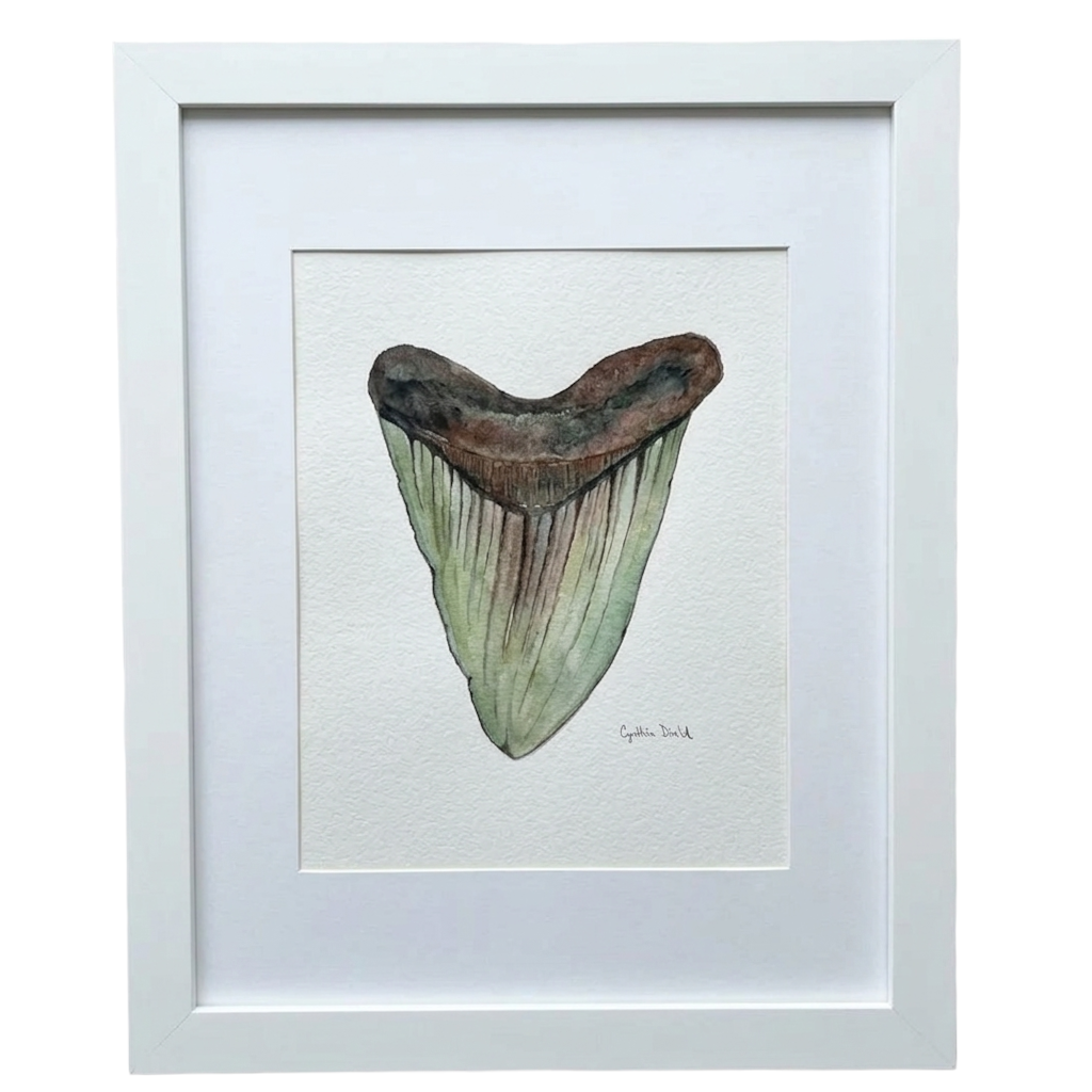 FRAMED SHARK TOOTH ORIGINAL III by Cynthia Diehl