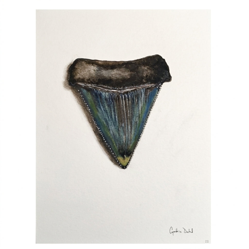 SHARK TOOTH ORIGINAL VII by Cynthia Diehl