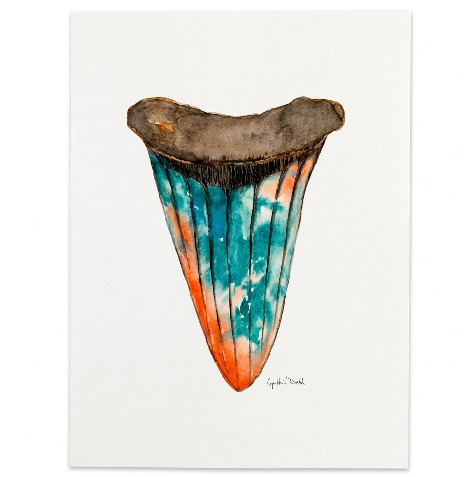 SHARK TOOTH ORIGINAL I by Cynthia Diehl