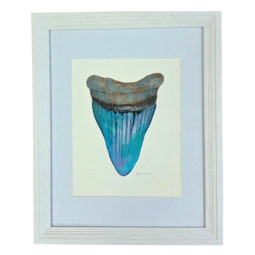FRAMED SHARK TOOTH ORIGINAL VIII by Cynthia Diehl