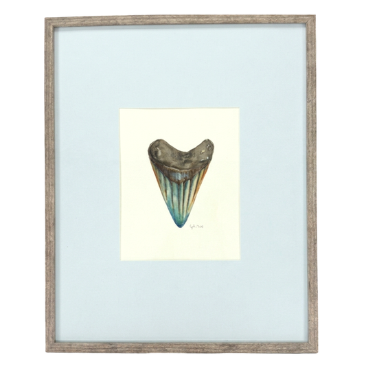 FRAMED SHARK TOOTH ORIGINAL VII by Cynthia Diehl