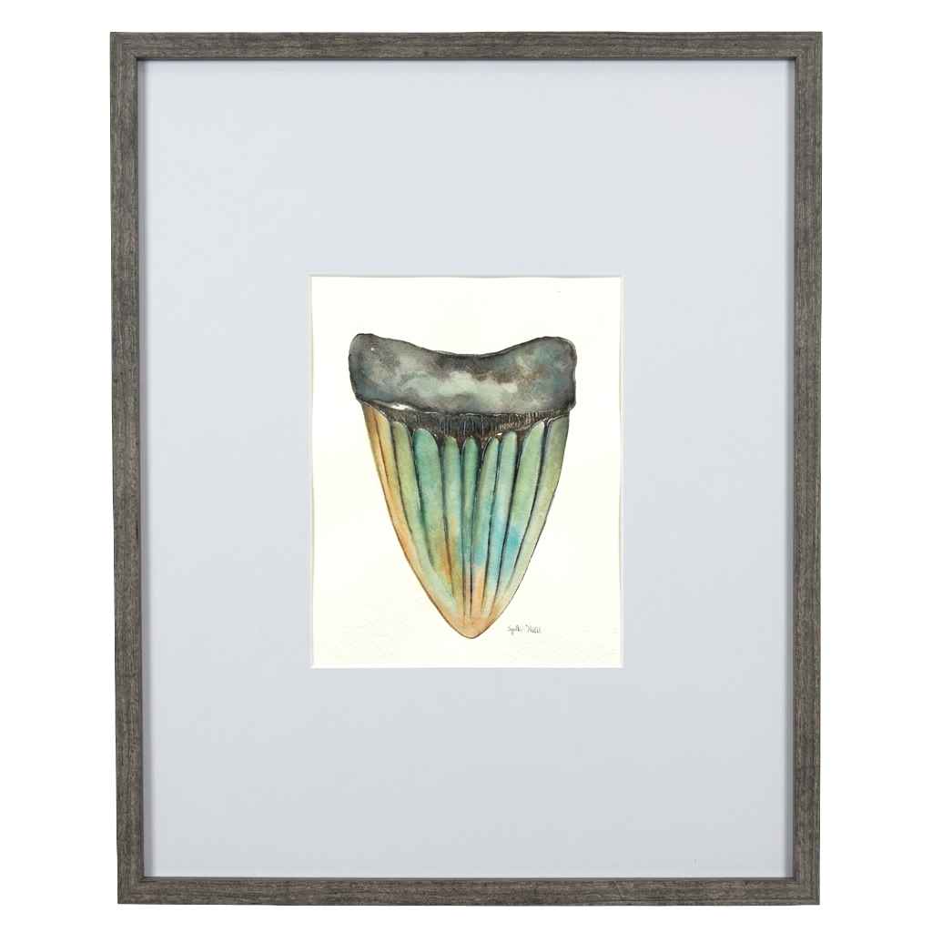 FRAMED SHARK TOOTH ORIGINAL VI by Cynthia Diehl