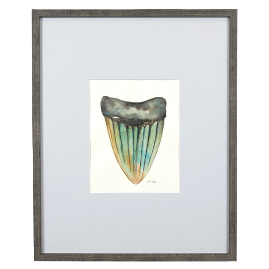 FRAMED SHARK TOOTH ORIGINAL VI by Cynthia Diehl