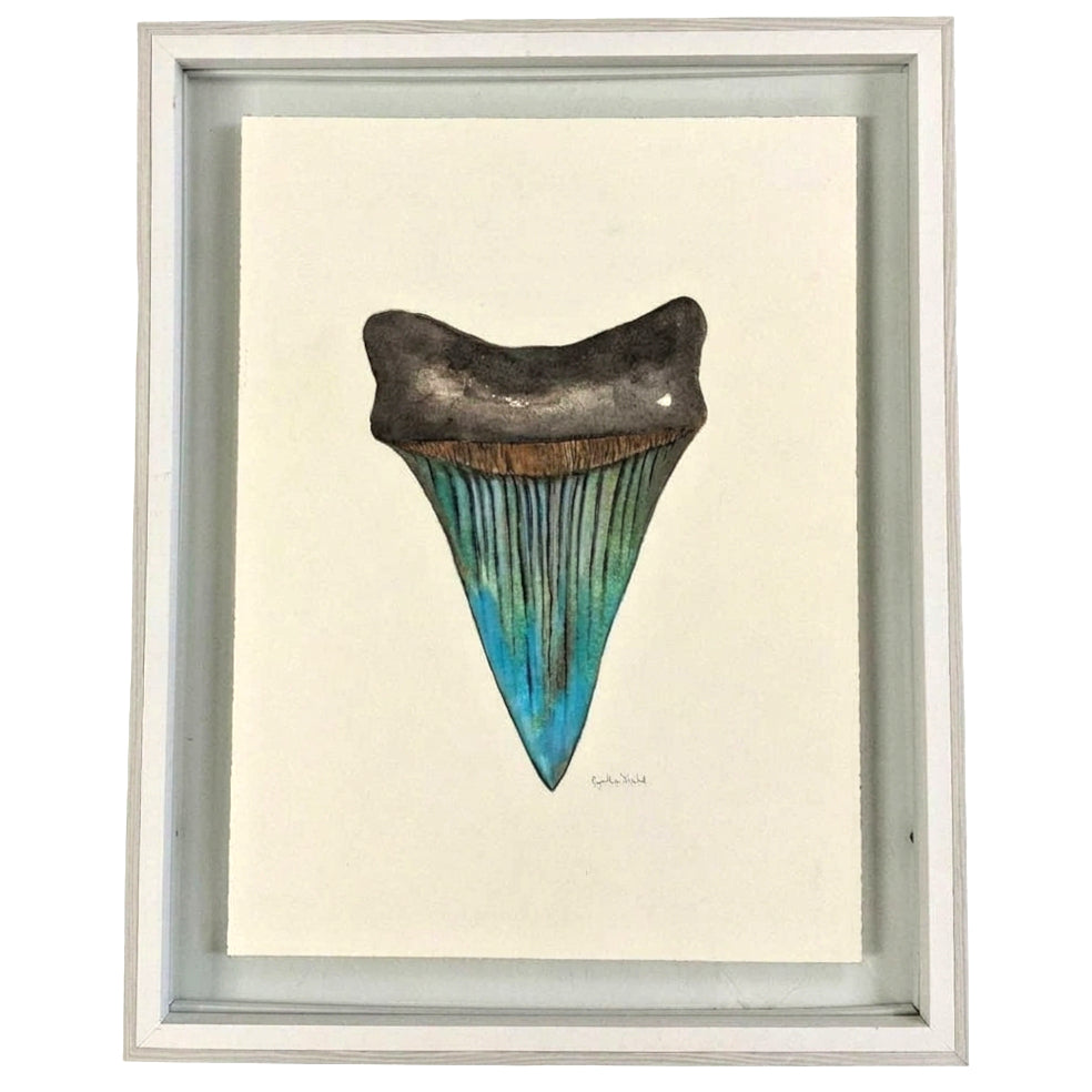 FRAMED SHARK TOOTH ORIGINAL V by Cynthia Diehl
