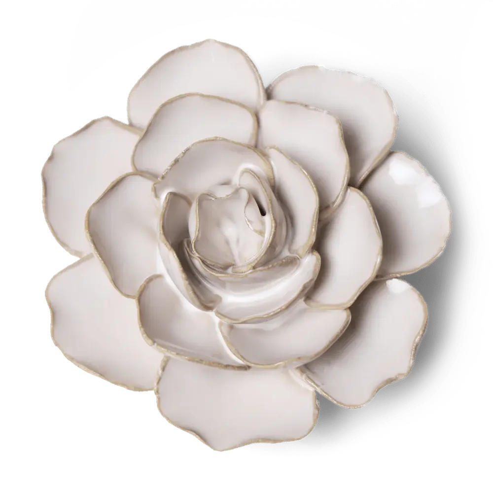 Best Valentine Ceramic Rose Collection Coastal Boho