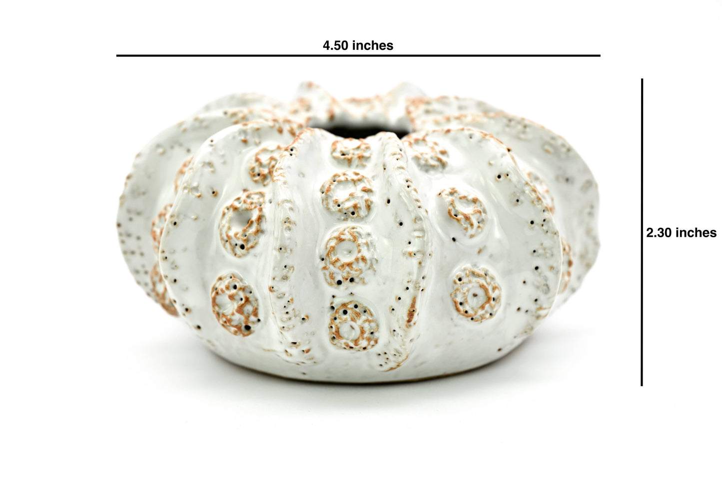 SRI193W Coral ceramic vase white