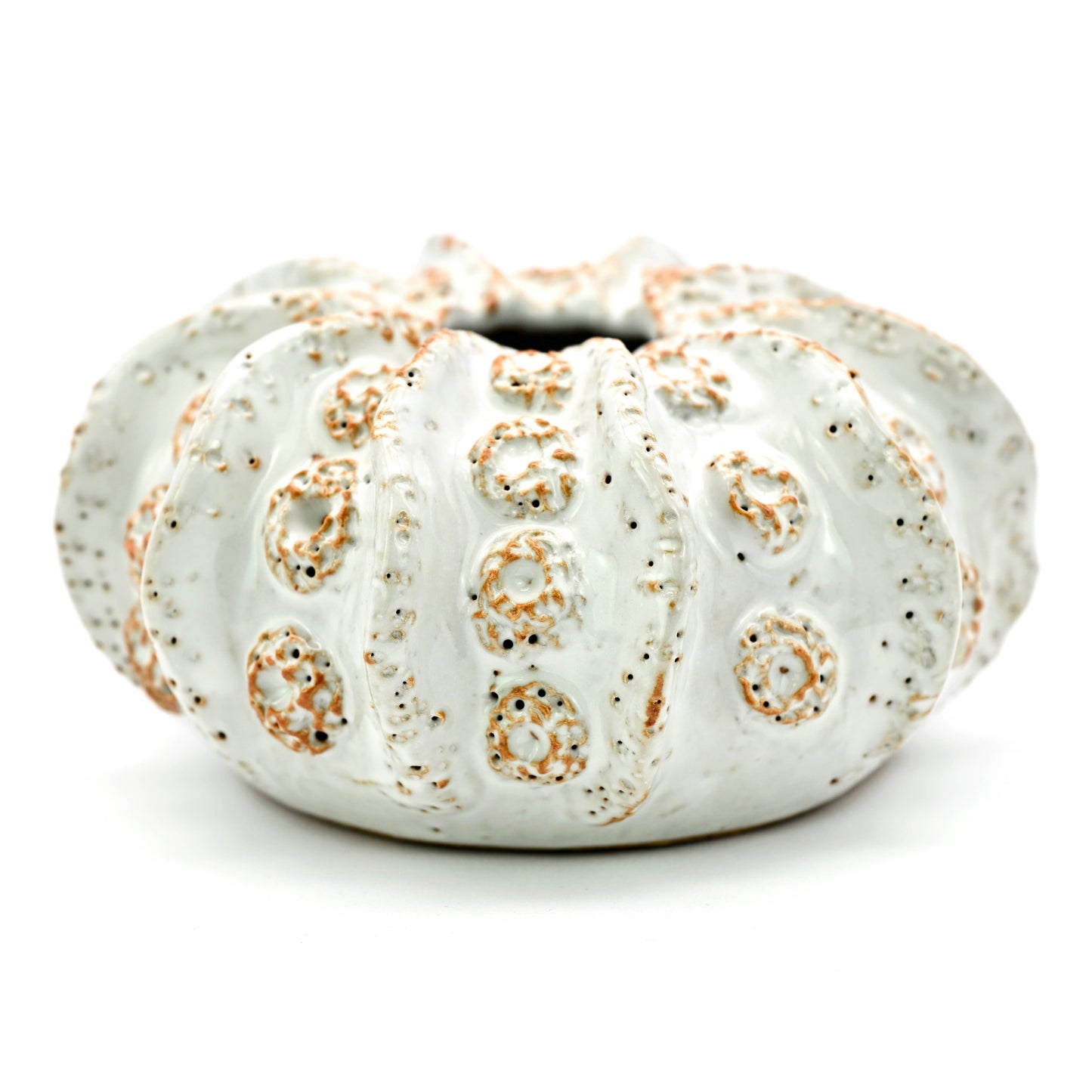 SRI193W Coral ceramic vase white