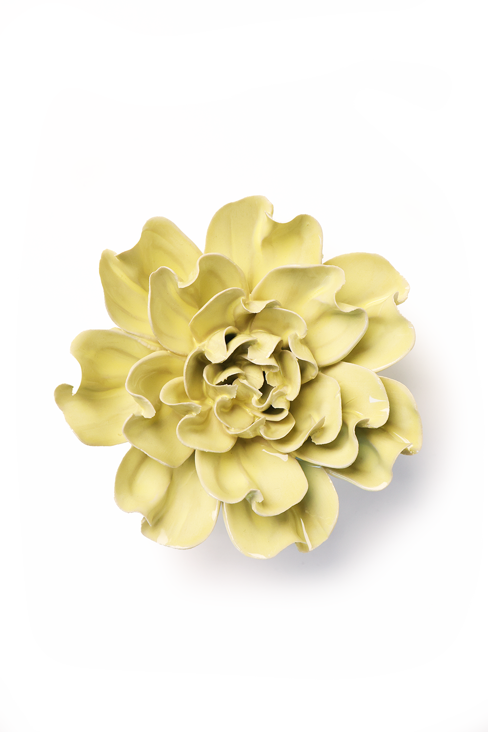 Lime Yellow Larkspur - Flower Art, Botanicals Decor