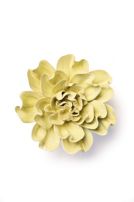 Lime Yellow Larkspur - Flower Art, Botanicals Decor
