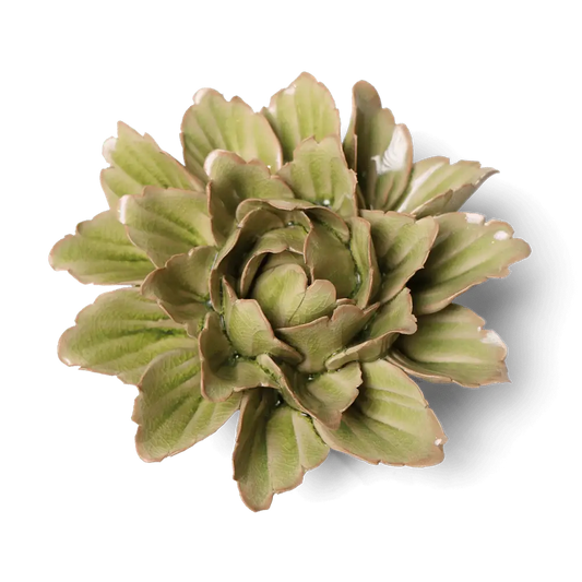 Peridot Sorbet Peony Ceramic Flowers - Boho Gift Decor