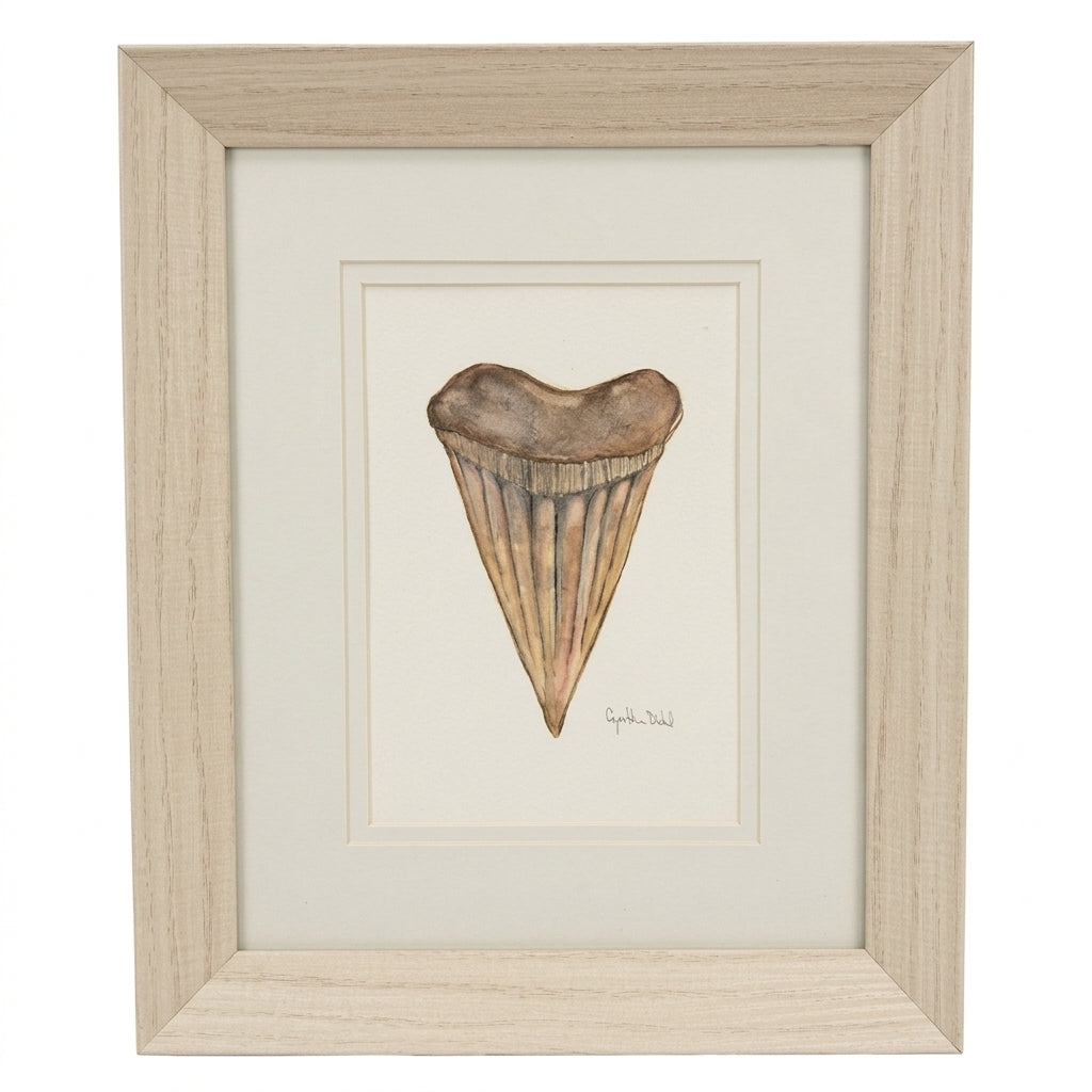 SMALL FRAMED SHARK TOOTH ORIGINAL by Cynthia Diehl