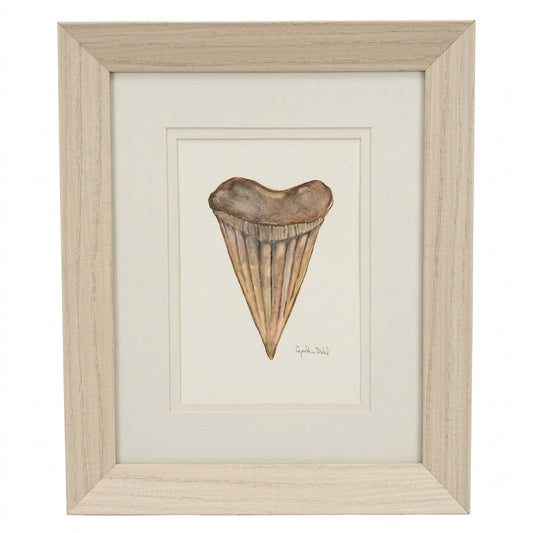 SMALL FRAMED SHARK TOOTH ORIGINAL by Cynthia Diehl