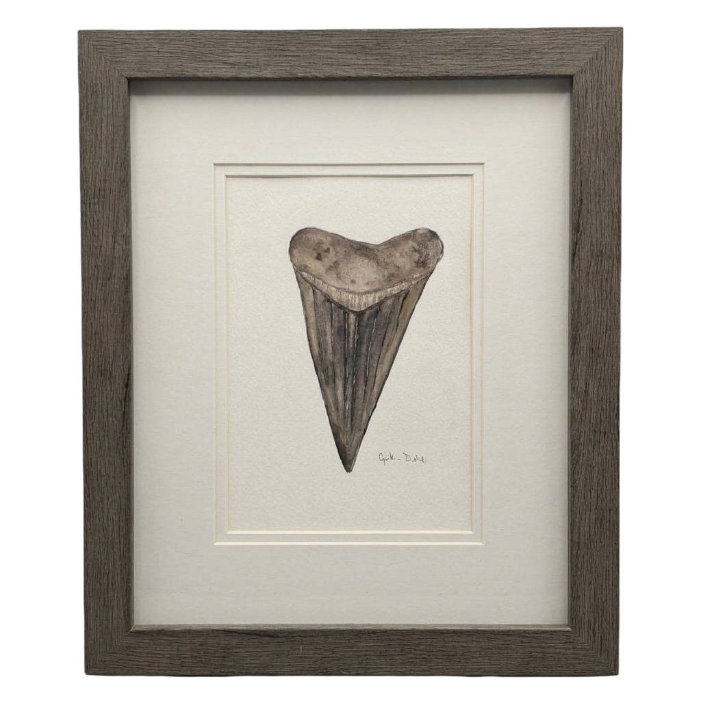 SMALL FRAMED SHARK TOOTH ORIGINAL by Cynthia Diehl