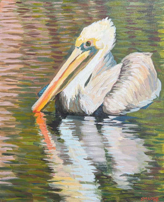 PELICAN REFLECTION by Stephen Moore