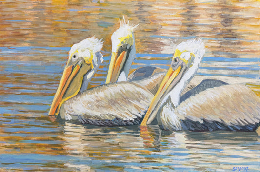 “Pelicans Flotilla” by Stephen Moore